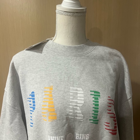 💕Anine Bing Paris Tyler Sweatshirt Gray💕 - Picture 4 of 16